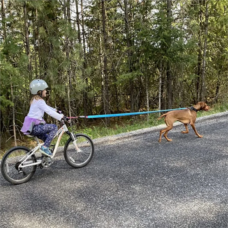 New Bicycle Elastic Leash Belt - đánh giá và giá Kids Outdoor Tools