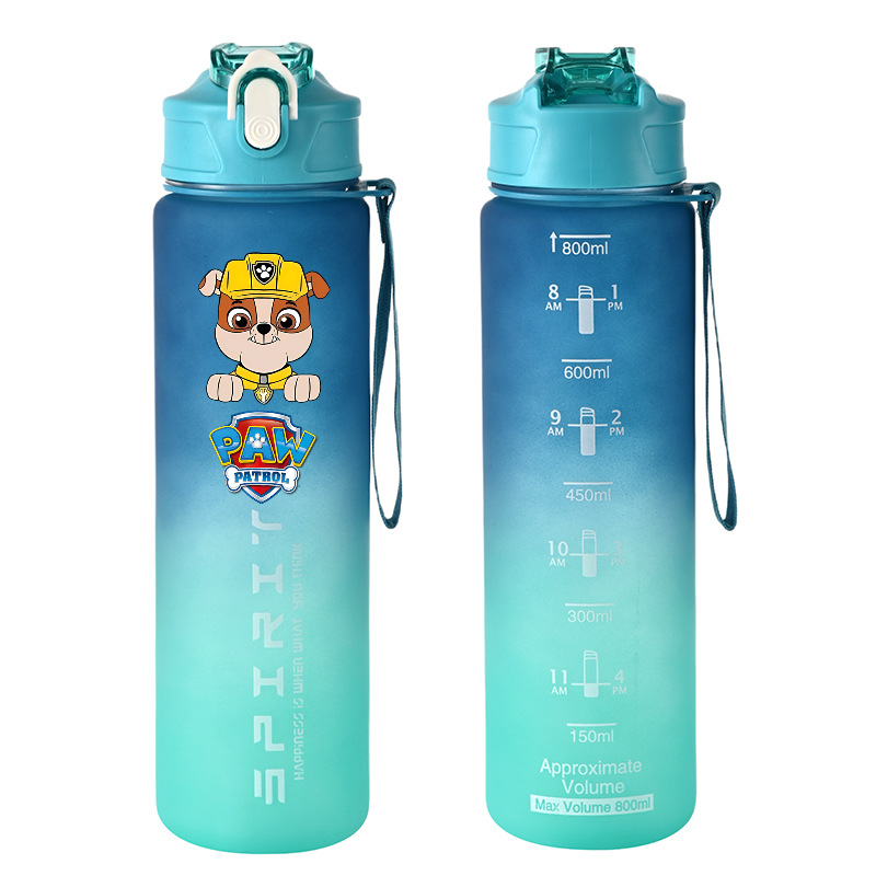 800ml PAW Patrol Sports Water  - đánh giá và giá Kids Outdoor Movies