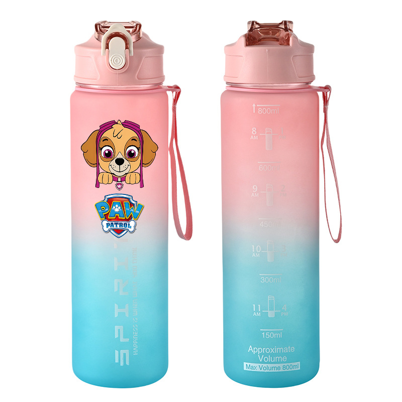 800ml PAW Patrol Sports Water  - đánh giá và giá Kids Outdoor Movies