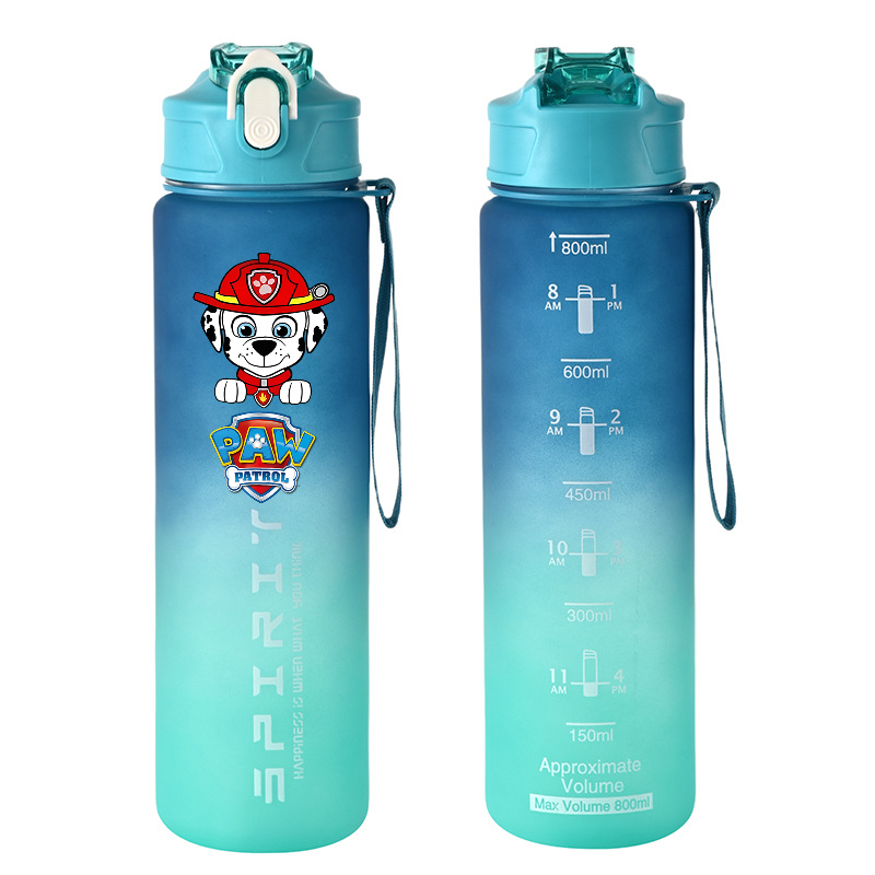 800ml PAW Patrol Sports Water  - đánh giá và giá Kids Outdoor Movies