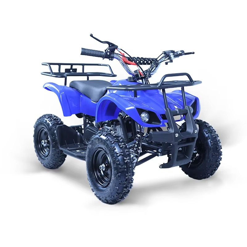 49cc Mini ATV Kids Quad Bike 2 - đánh giá và giá Kids Outdoor Quad