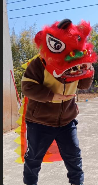 2-5 age 12inch Lion Dance Set  - đánh giá và giá Kids Outdoor Outfit